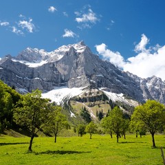 Naturschönheit großer Ahornboden in Tirol