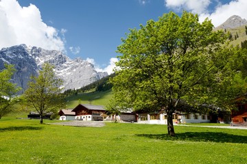 Fototapeta na wymiar Engalmen am großen Ahornboden in Tirol