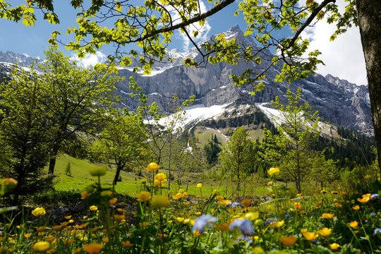 Fr&uuml;hlingsfarben am gro&szlig;en Ahornboden in Tirol