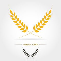 isolate icon of Wheat ears