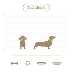 Dachshund on the dimensional scale. Items for dogs. Face and profile. Vector illustration.