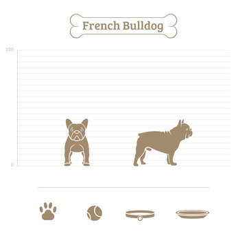 French Bulldog on the dimensional scale. Items for dogs. Face and profile. Vector illustration.