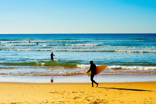 Surfers on a beach