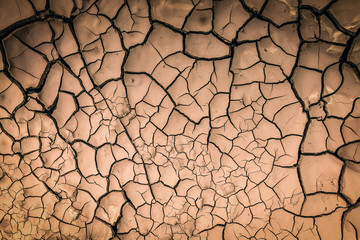 Details of a dried cracked earth