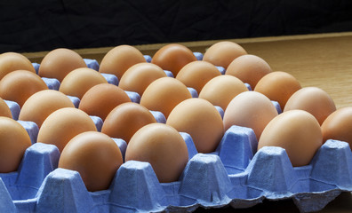 Fototapeta premium Panorama of whole, fresh, uncooked eggs on tray, still in shells.
