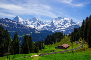 Fototapeta na wymiar Train line running through the Swiss Alps
