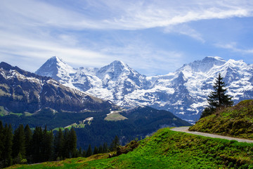 Fototapeta na wymiar Walking trail in the Swiss Alps