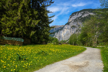 Walking trail in the Swiss Alps
