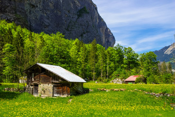 Rural landscape in Lauterbrunnen, Switzerland