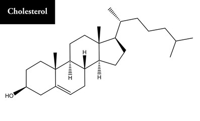 Molecular structure of cholesterol