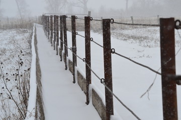 Snowy Fence