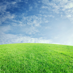 The landscap sky and grass on background