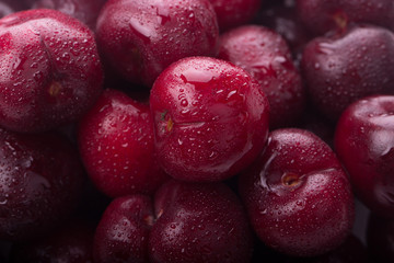cherry isolated