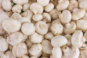 fresh champignons. Champignon mushrooms  background