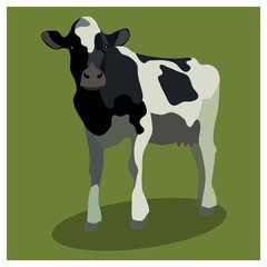 Animal cow on green, vector