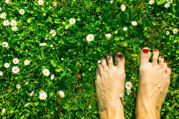 Feet in the green grass.
