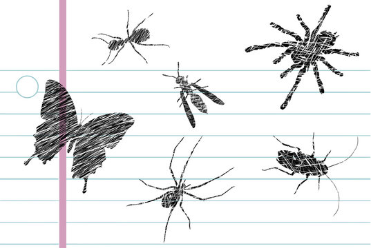  Sketch of different insects and bugs