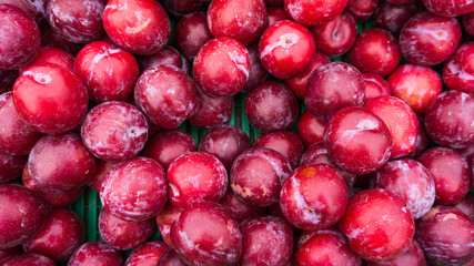 Ripe Plums Background.  Fresh ripe red plums