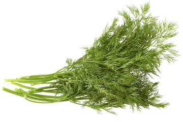 Bunch of dill on white