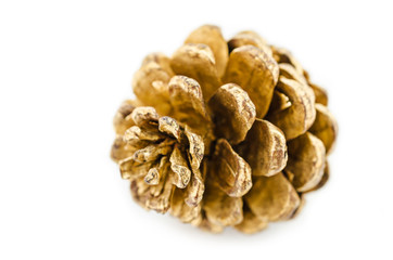 golden Christmas fir-cone on.