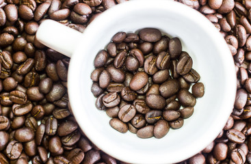 coffee beans on the white ground