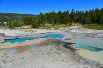 geyser around old faithful area