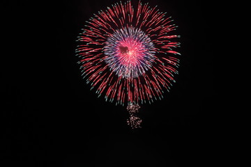 花火　fireworks
