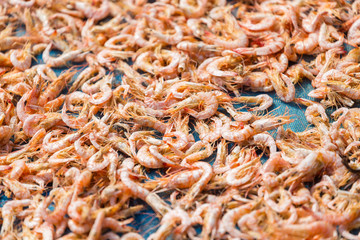 Dried Shrimp