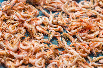 Dried Shrimp