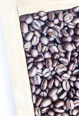 coffee beans on the white ground