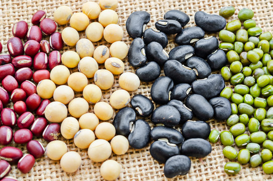 Different kinds of beans.