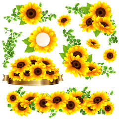 Obraz premium Piękna rama słonecznika