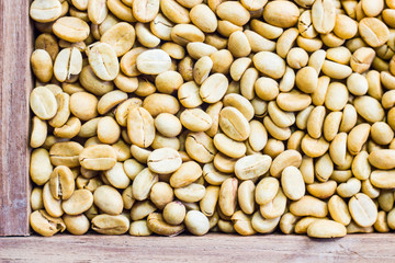 coffee beans on the white ground