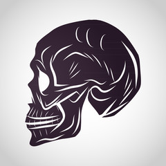 Skull logo