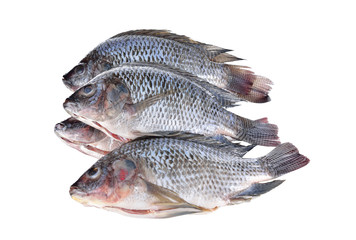 Gutted and scaled Nile Tilapia fish on white background