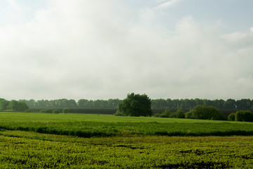 Fototapeta na wymiar Spring rural landscape