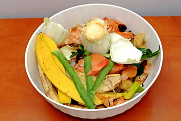 Vegetable scraps in a white plastic bowl bio waste