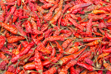 Red hot dry chili pattern.