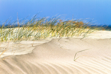Dunes © 4th Life Photography