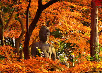 Buddha surrounded by autumn leaves, Kyoto Japan. 
