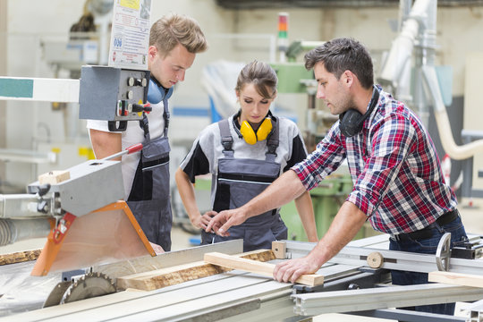 young apprentice with professional carpenter