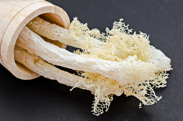 Dried Bamboo mushroom.