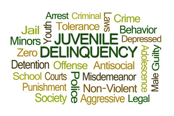 Juvenile Delinquency Word Cloud