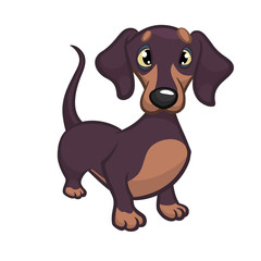 Cartoon Vector Illustration of Cute Purebred Dachshund Dog. Isolated on white background