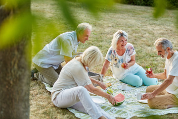 Senioren haben Spaß beim Picknick im Sommer