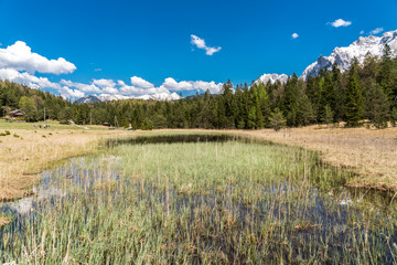 Biotop am Lautersee bei Mittenwald inklusive Wald und Alpenpanorama