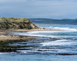 coast of South Island, New Zealand
