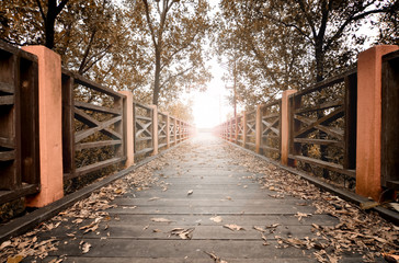 vantage nature background. wooden bridge and falling leaves with sunlight beam