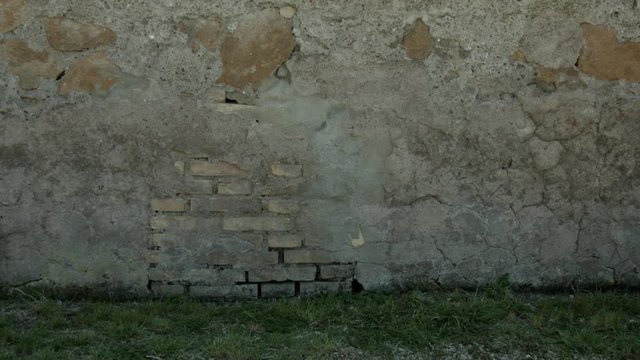 Piccola bambina bionda cammina a Roma, Italia, Europa
