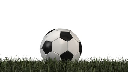 Soccer Ball on Grass isolated on white background